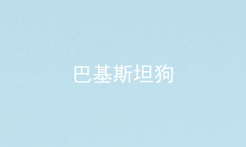 巴基斯坦狗