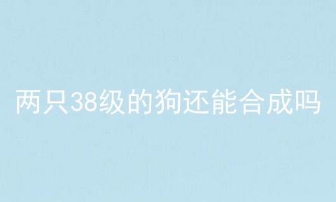 两只38级的狗还能合成吗
