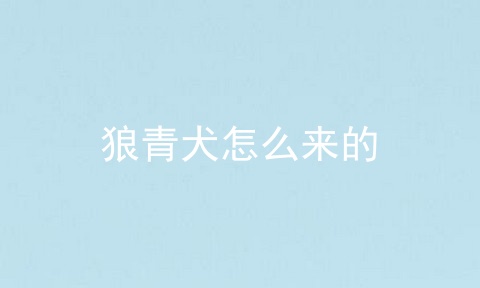 狼青犬怎么来的