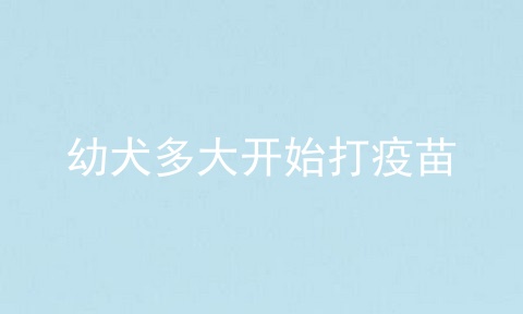 幼犬多大开始打疫苗