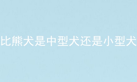 比熊犬是中型犬还是小型犬