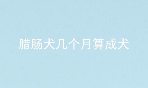 腊肠犬几个月算成犬