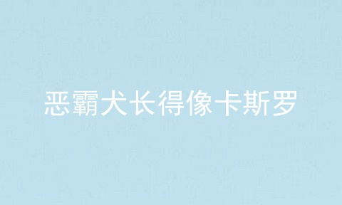 恶霸犬长得像卡斯罗