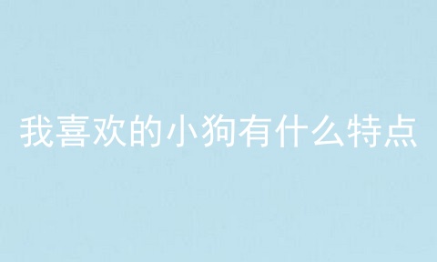 我喜欢的小狗有什么特点