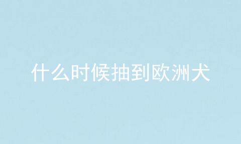 什么时候抽到欧洲犬