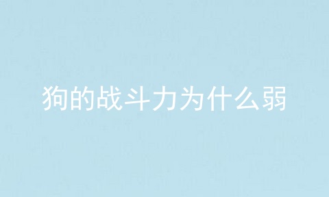 狗的战斗力为什么弱