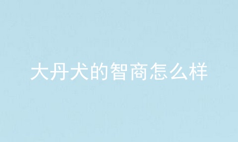 大丹犬的智商怎么样