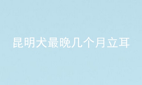 昆明犬最晚几个月立耳