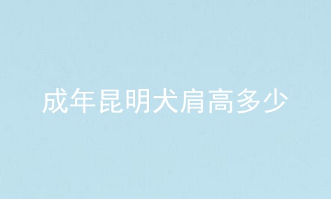 成年昆明犬肩高多少
