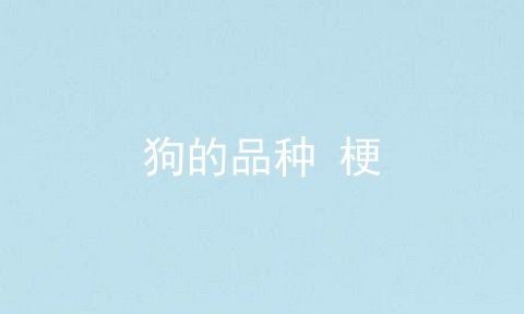 狗的品种 梗