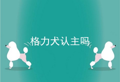 格力犬认主吗