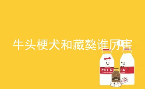 牛头梗犬和藏獒谁厉害