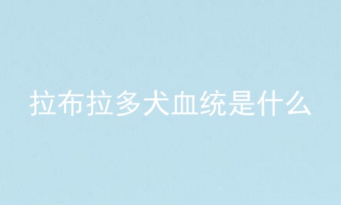 拉布拉多犬血统是什么