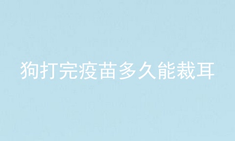 狗打完疫苗多久能裁耳
