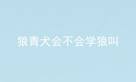 狼青犬会不会学狼叫