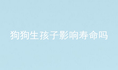 狗狗生孩子影响寿命吗