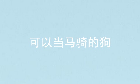 可以当马骑的狗