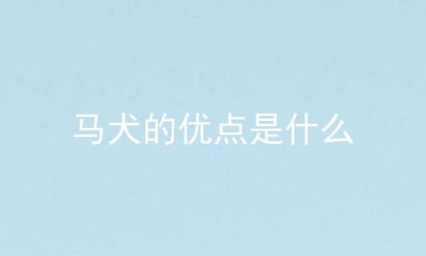 马犬的优点是什么