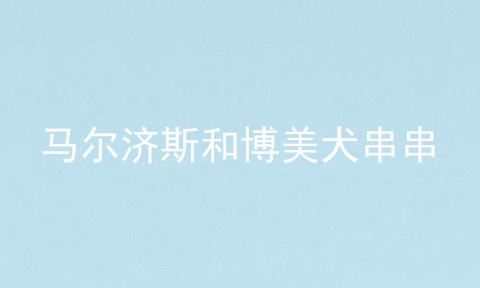 马尔济斯和博美犬串串