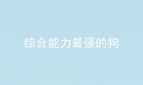 综合能力最强的狗