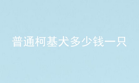 普通柯基犬多少钱一只