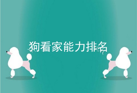 狗看家能力排名