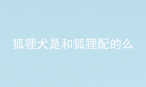 狐狸犬是和狐狸配的么