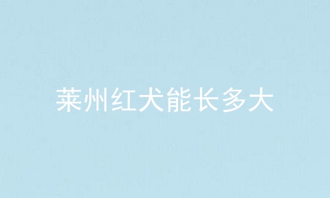 莱州红犬能长多大