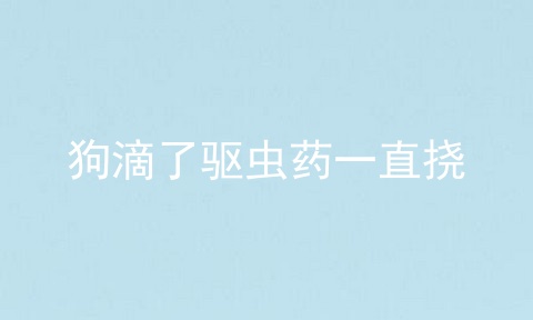 狗滴了驱虫药一直挠