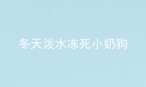 冬天泼水冻死小奶狗
