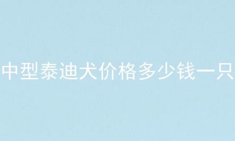 中型泰迪犬价格多少钱一只