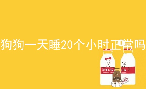 狗狗一天睡20个小时正常吗