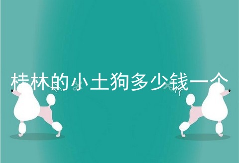 桂林的小土狗多少钱一个