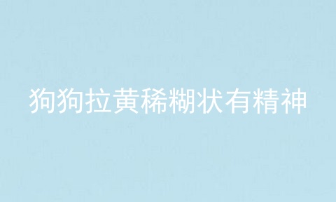 狗狗拉黄稀糊状有精神