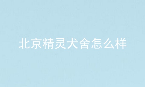 北京精灵犬舍怎么样