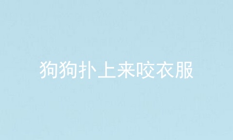 狗狗扑上来咬衣服
