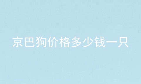 京巴狗价格多少钱一只