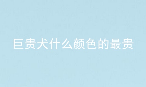 巨贵犬什么颜色的最贵