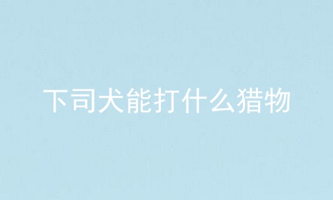 下司犬能打什么猎物
