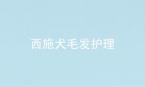 西施犬毛发护理
