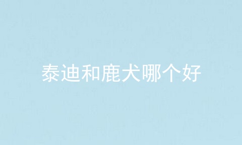 泰迪和鹿犬哪个好