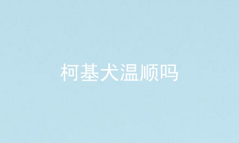 柯基犬温顺吗
