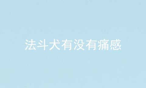 法斗犬有没有痛感