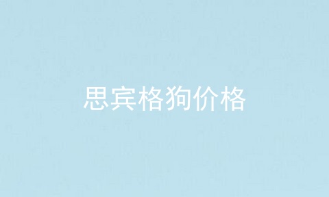 思宾格狗价格