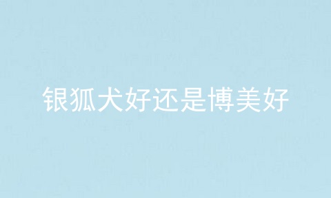 银狐犬好还是博美好
