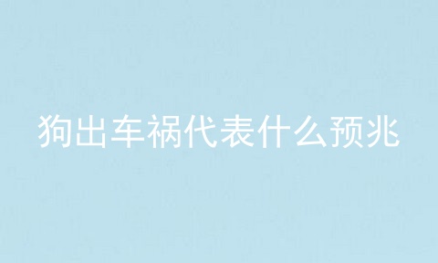 狗出车祸代表什么预兆