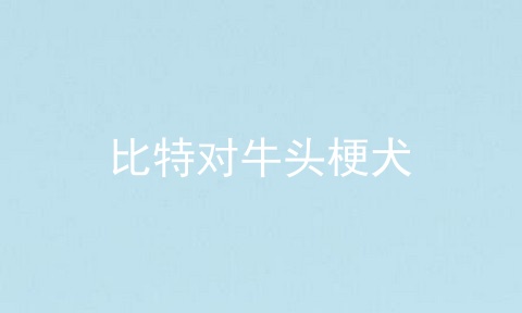 比特对牛头梗犬