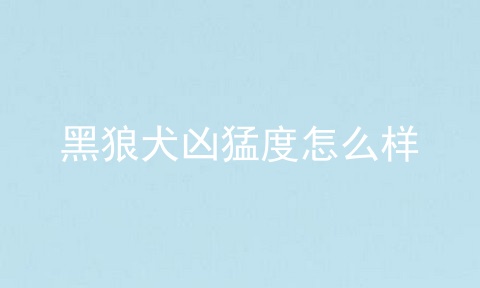 黑狼犬凶猛度怎么样