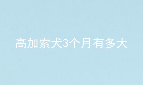 高加索犬3个月有多大