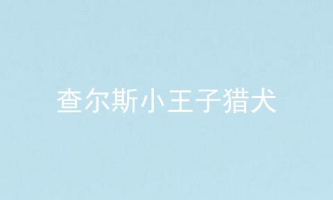 查尔斯小王子猎犬